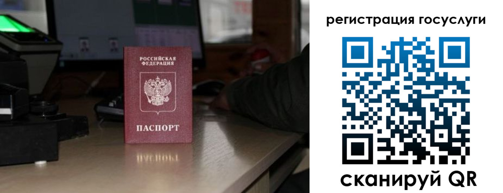 прописка законно в Могочи